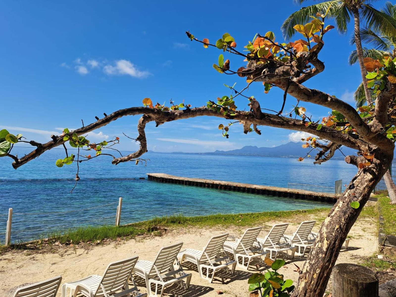 F1 Vue Mer, Acces Plage, En Centre-Ville Le Gosier  Exterior photo